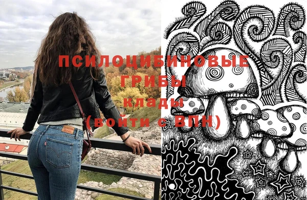 спайс Беломорск