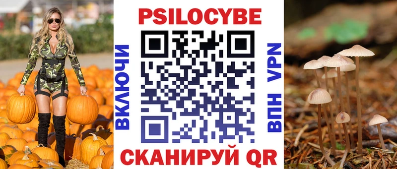 KRAKEN ссылка  купить наркоту  Кулебаки  Галлюциногенные грибы Psilocybe 